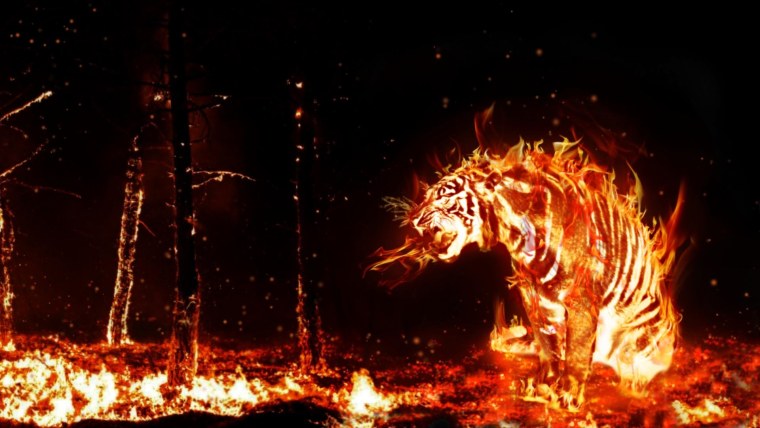 Животные в огне