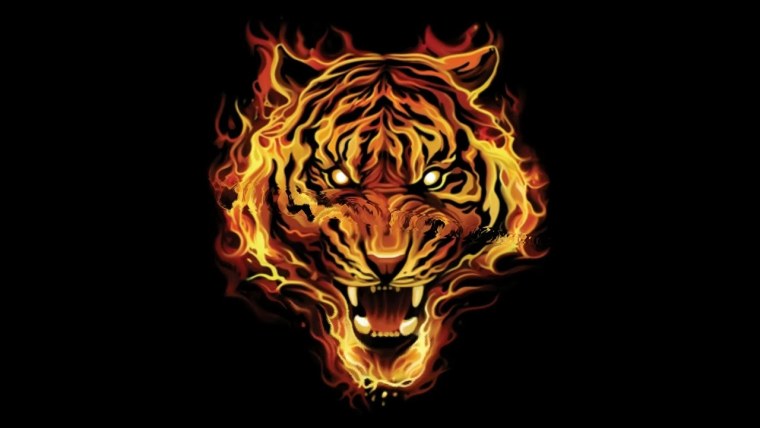 Огненный тигр арт