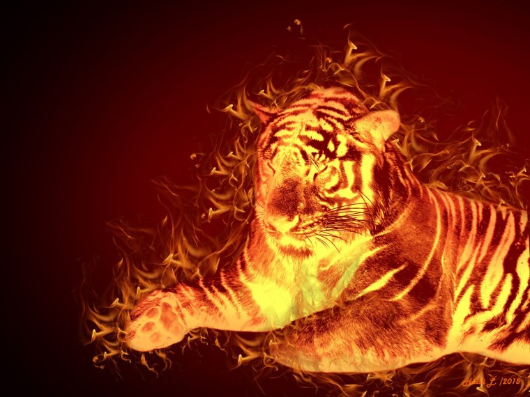 Красный Огненный тигр