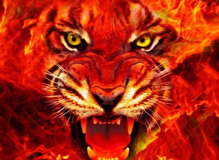 Фаер Тайгер