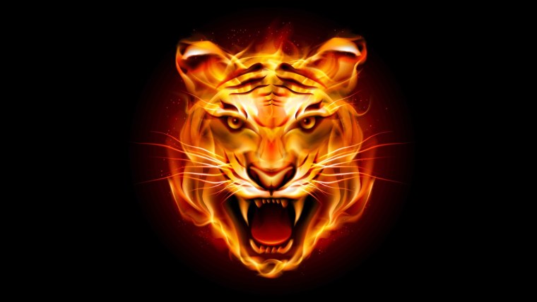 Фаер Тайгер