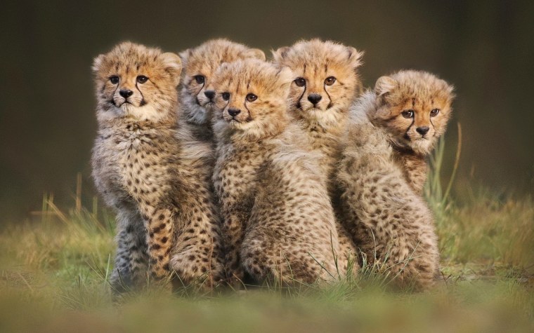 Дружба картинки