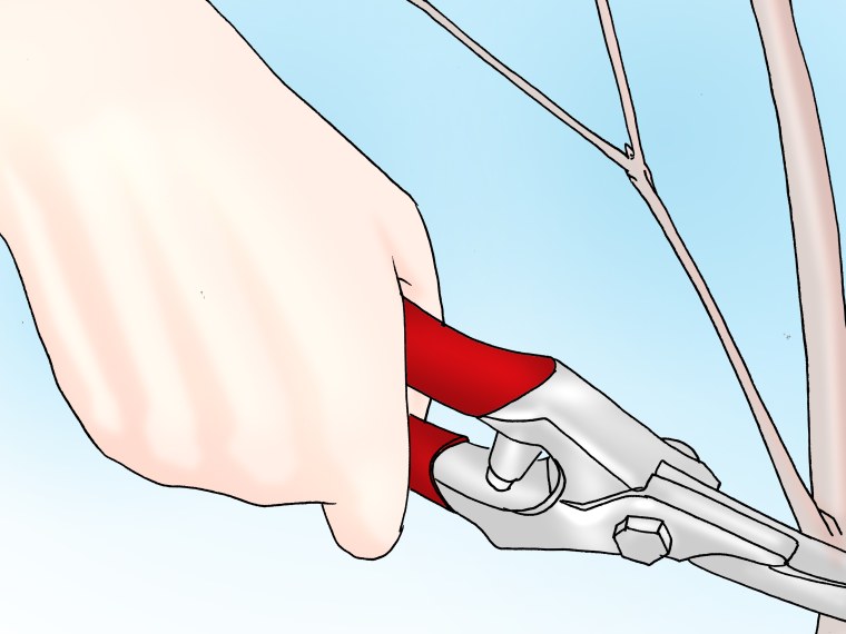 Аниме девушка отрезает волосы