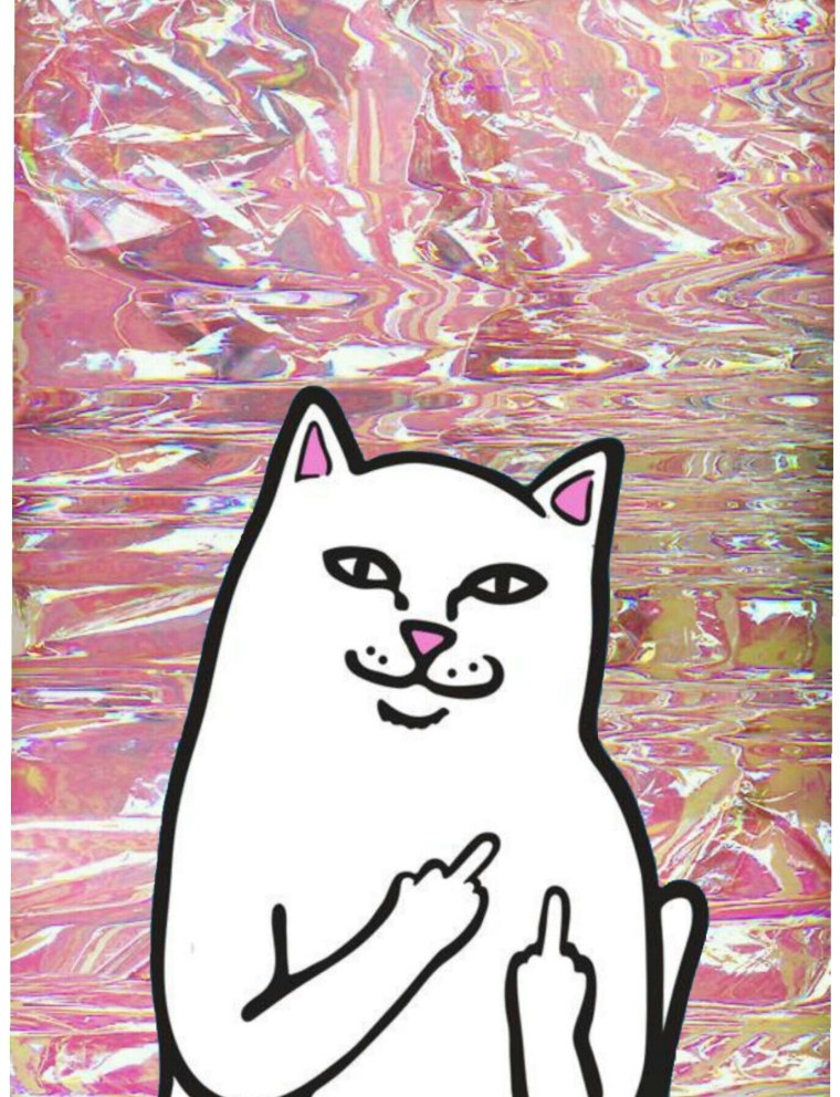 RIPNDIP логотип