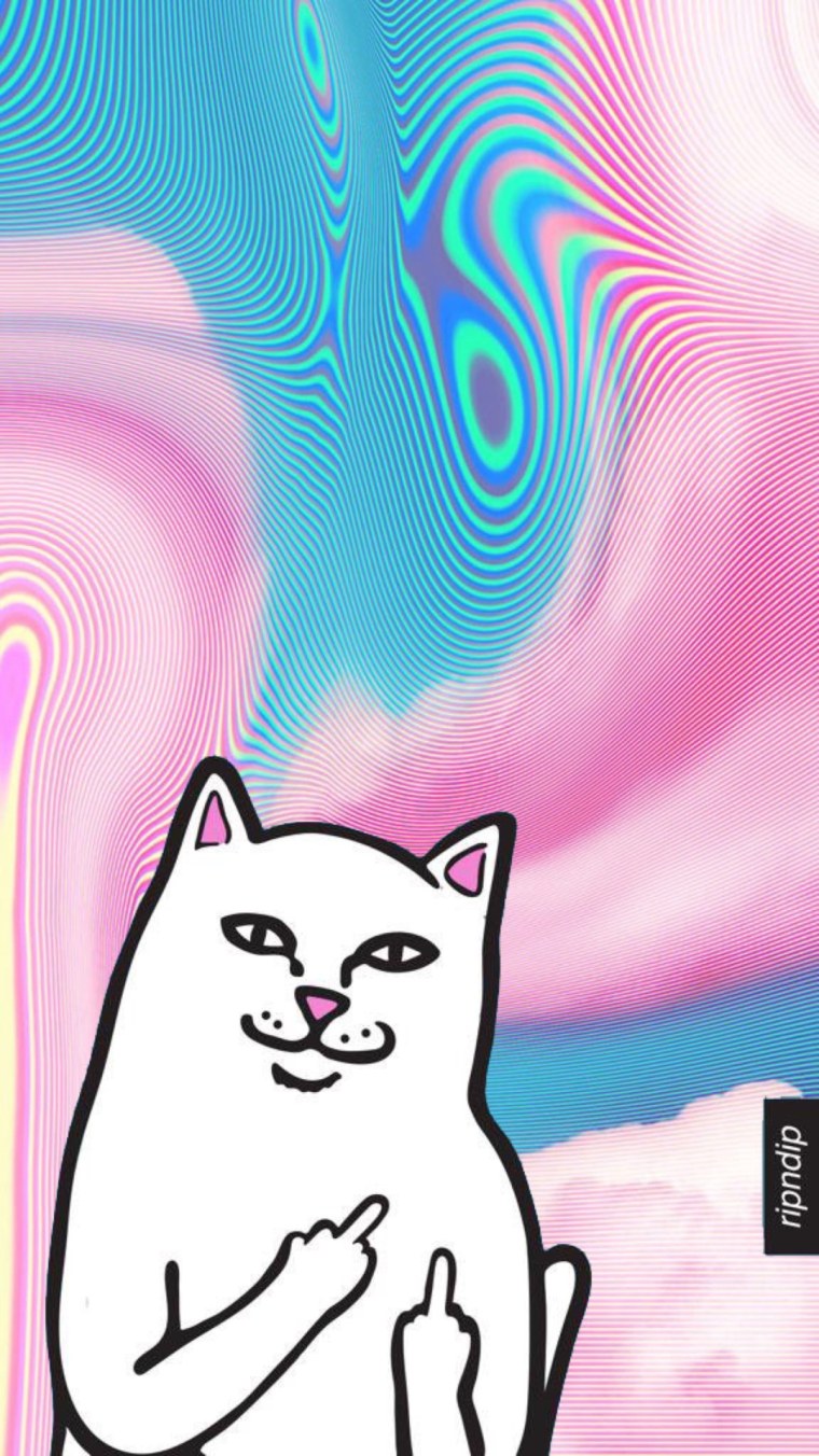 Кот с факом фон