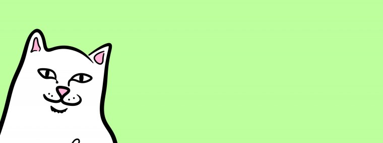 Кот показывает фак