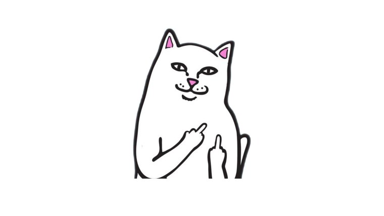 Кот с факом