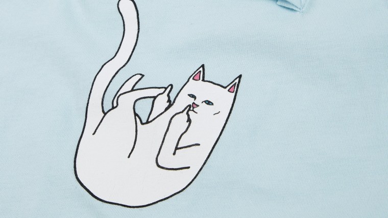 Котик показывающий средний палец