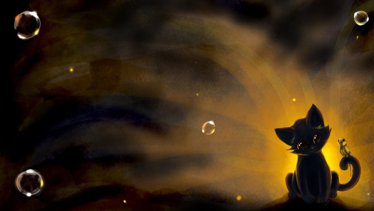 Кошка на темном фоне