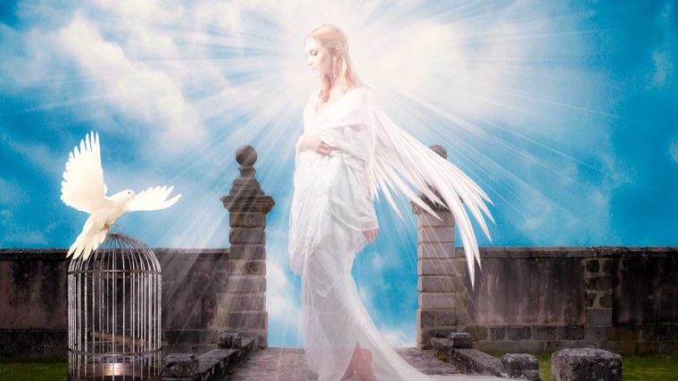 Michael Calfan Resurrection