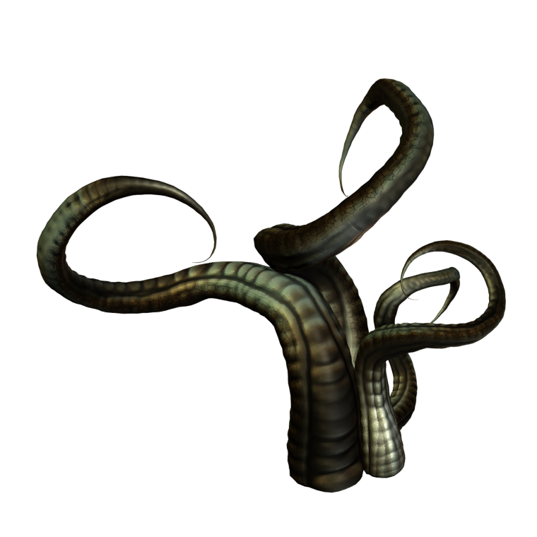 Щупальца на прозрачном фоне