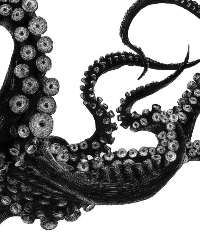 Щупальца осьминога