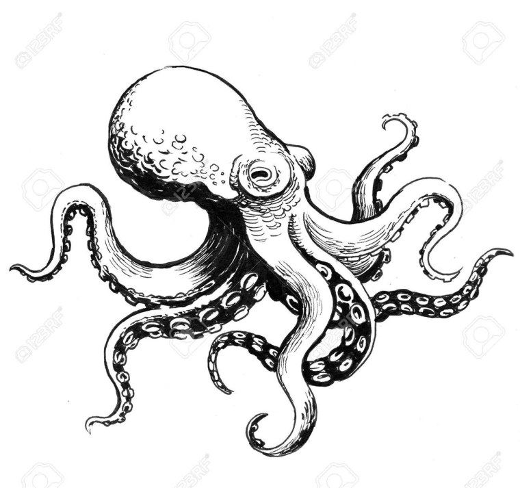 Осьминог черной ручкой
