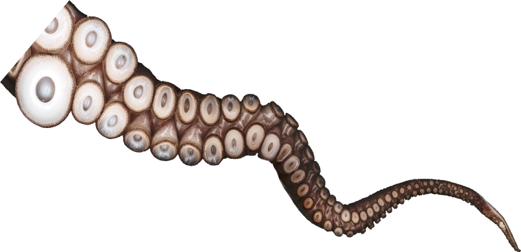 Щупальца на прозрачном фоне