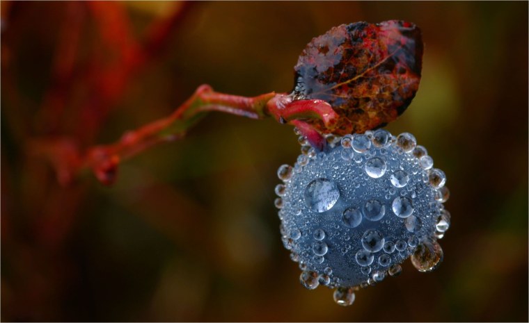 Капли макро