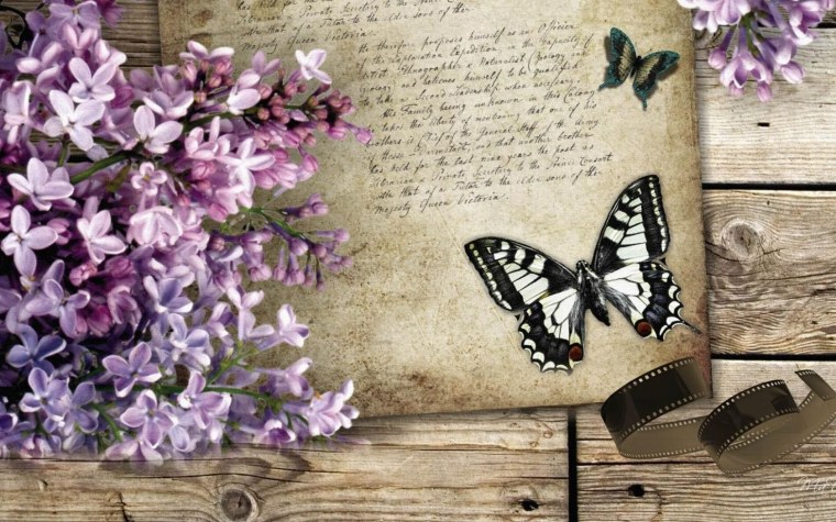 Красивый фон с бабочками