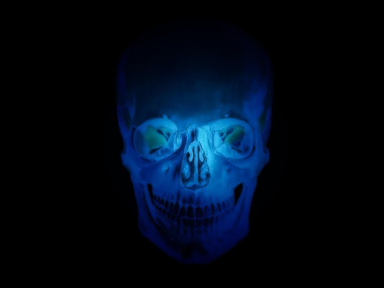 Лето черепа