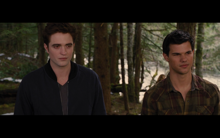 Сумерки Эдвард и Джейкоб