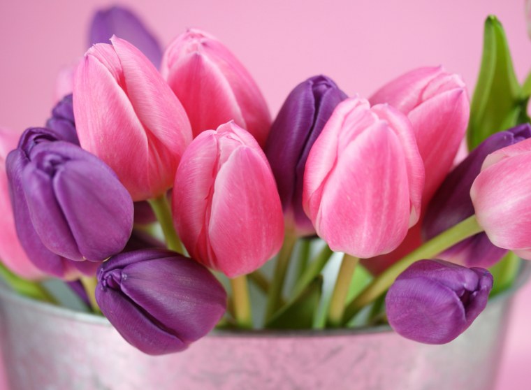 Модульная картина тюльпаны