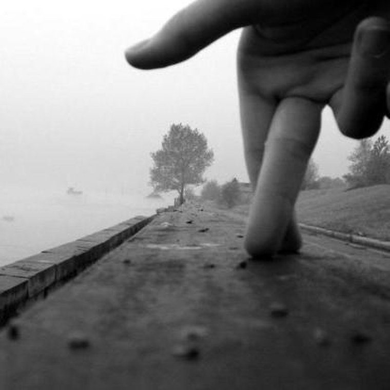 Стремная лиса