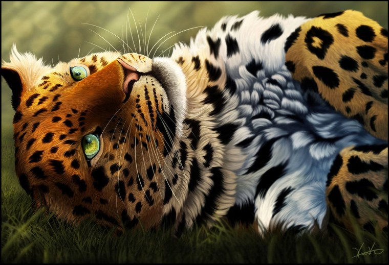 Леопард арты