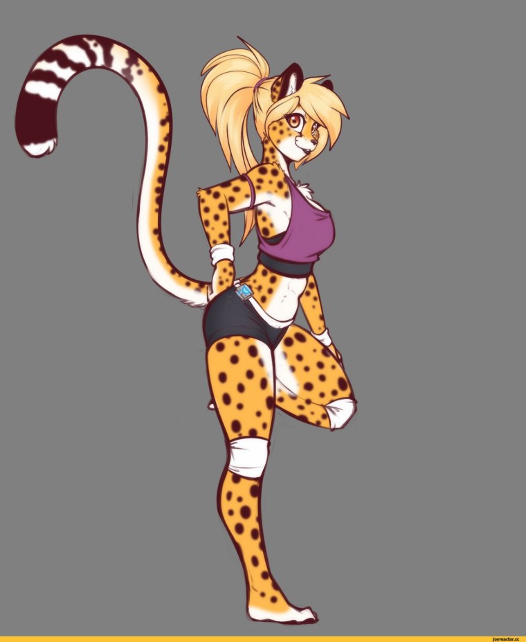 Фурри Михари Cheetah