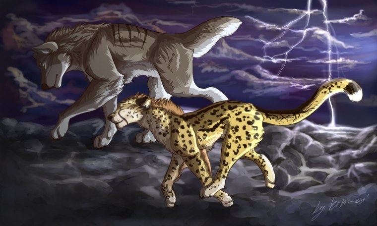 Вилд крафт гепард арт
