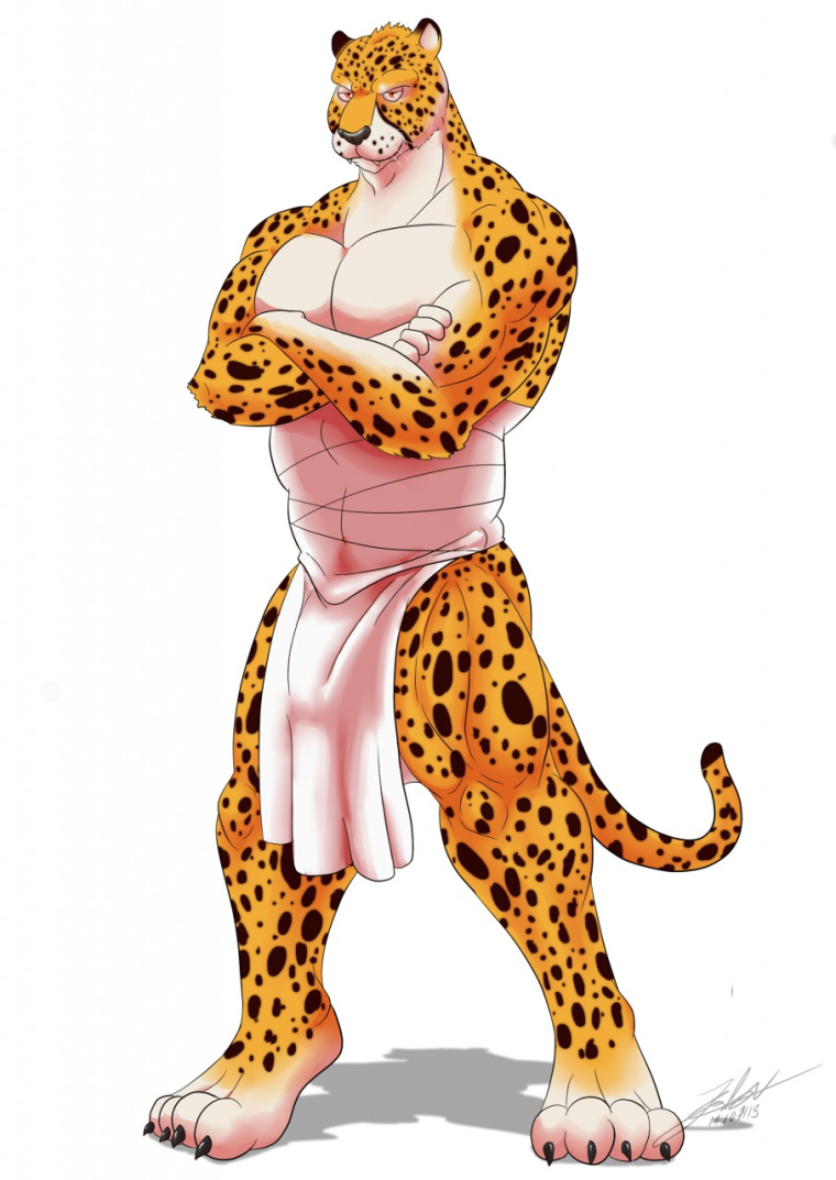 Мускулистый гепард