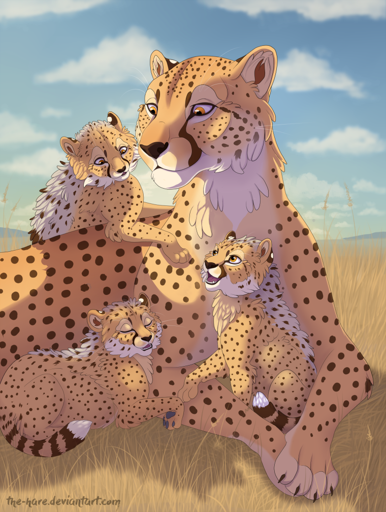 Гепард аниме вайлдкрафт