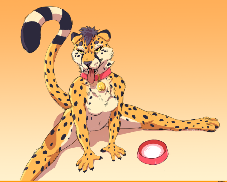 Фурри гепард и снежный Барс