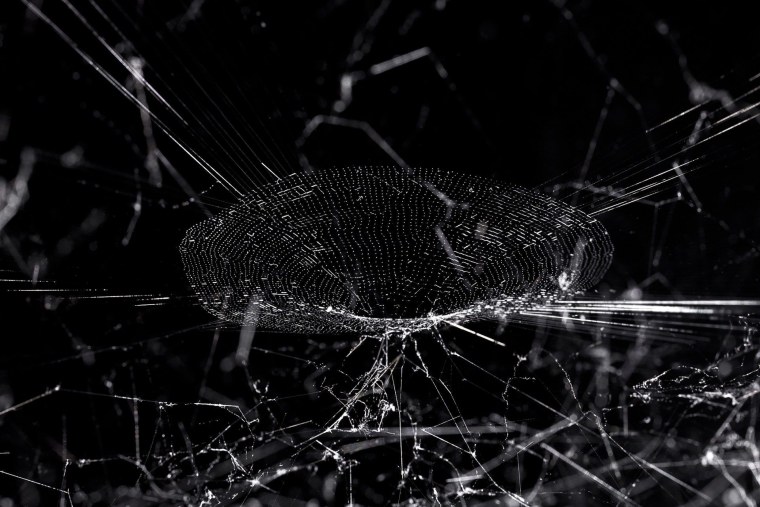 Паутина на черном фоне