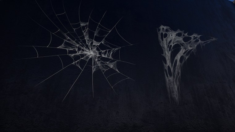 Паутина реалистичная