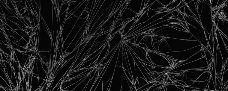 Нити на черном фоне