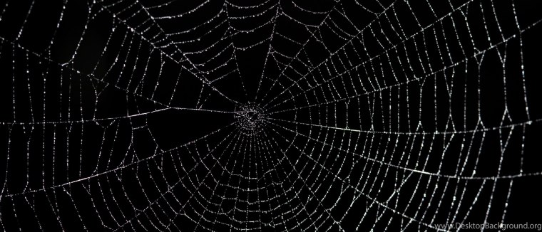 Всемирная паутина на черном фоне