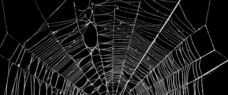 Паутина черная