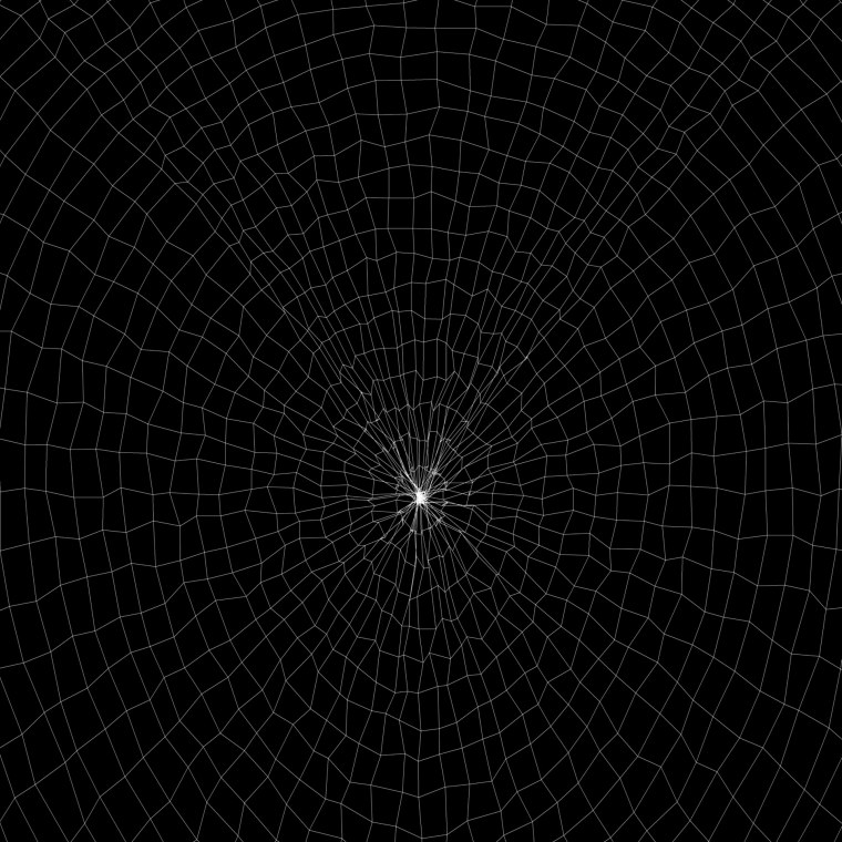 Паутина на черном фоне