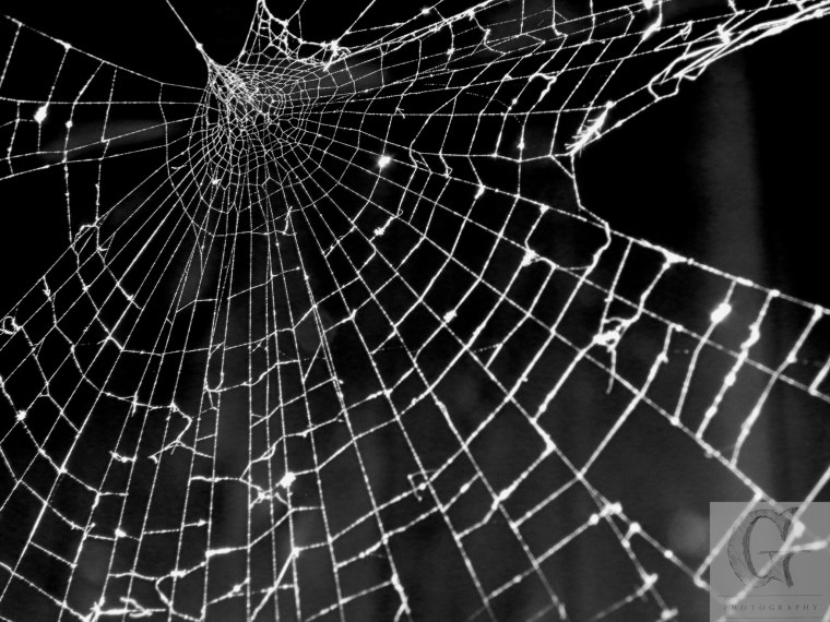 Паутина узор