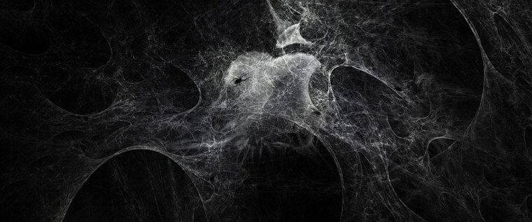 Черная паутина на белом фоне