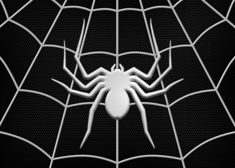 Паутина на черном фоне
