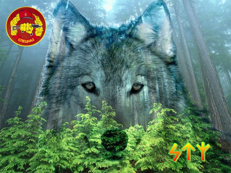 Волчица в лесу