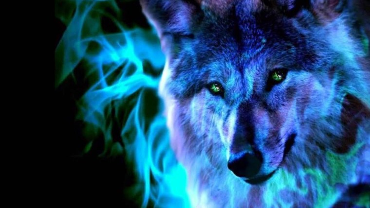 Красивый волк