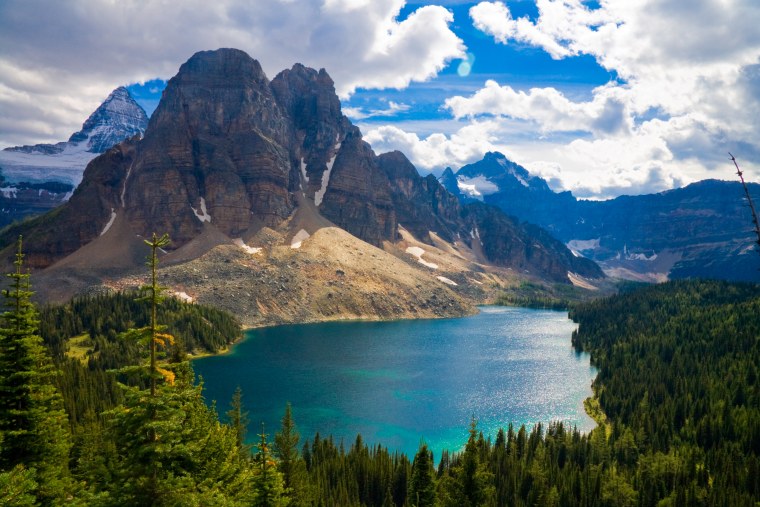 Вайоминг штат лес