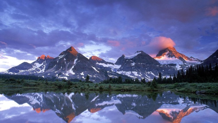 Красивый Лесной пейзаж