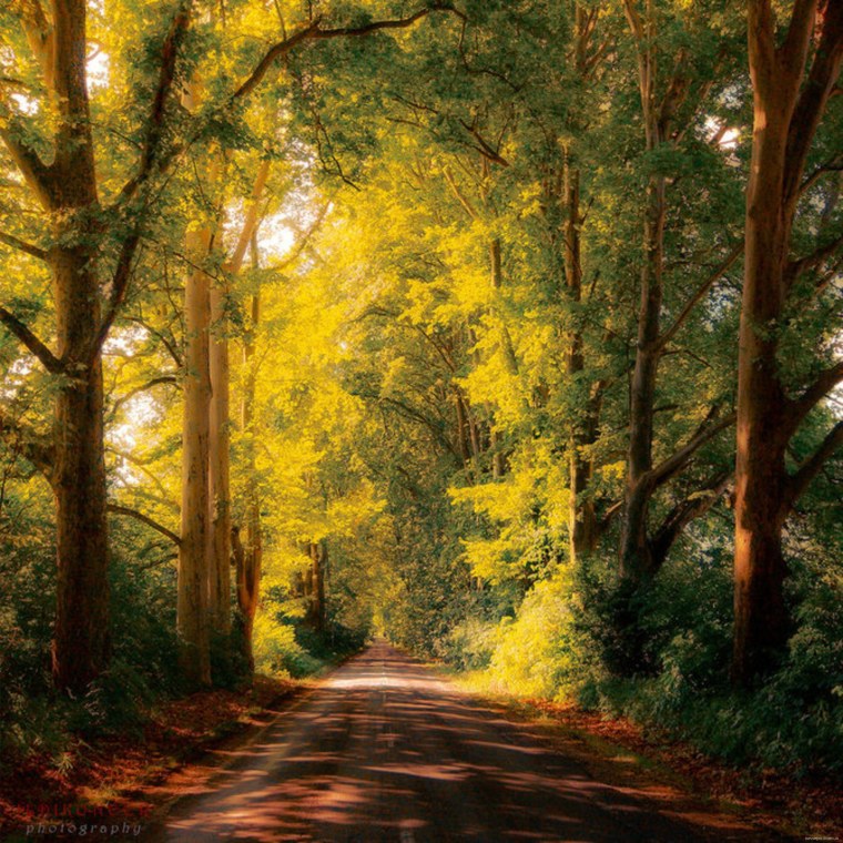 Красивый закат