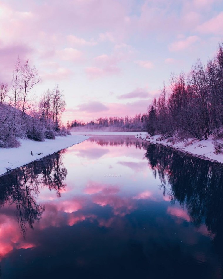 Цветы Канады Банф