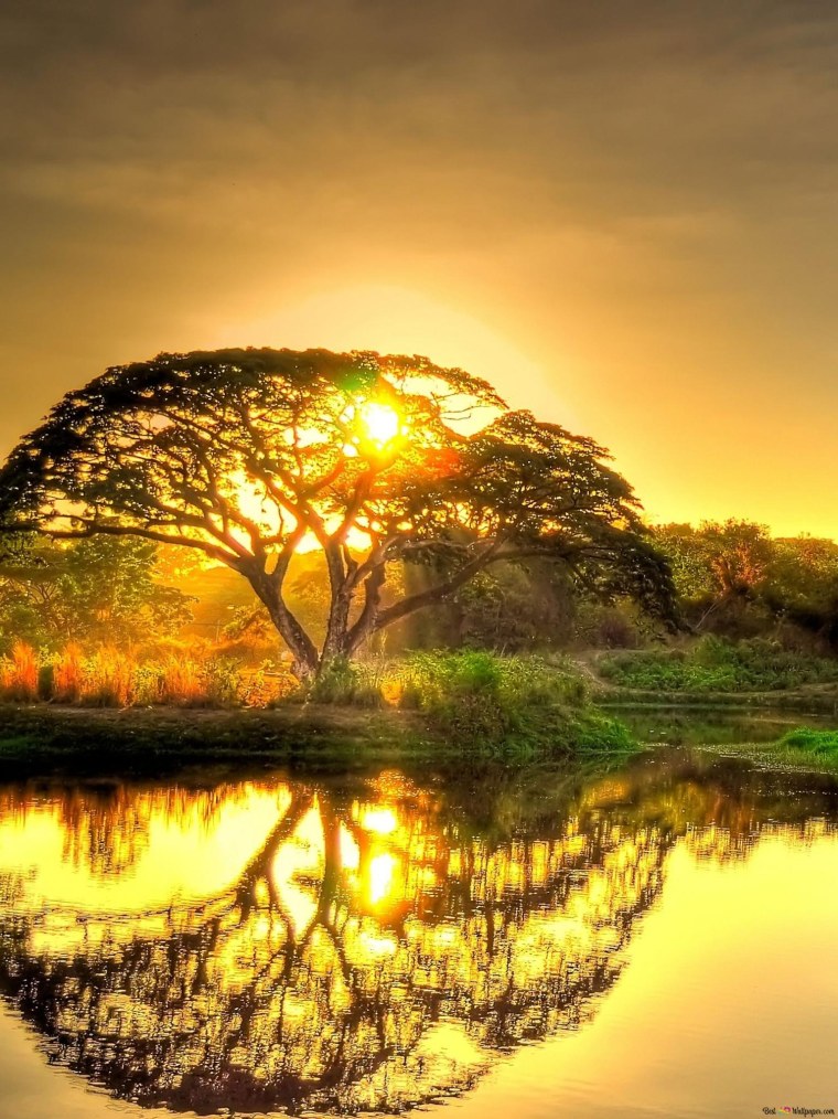 Прекрасные пейзажи