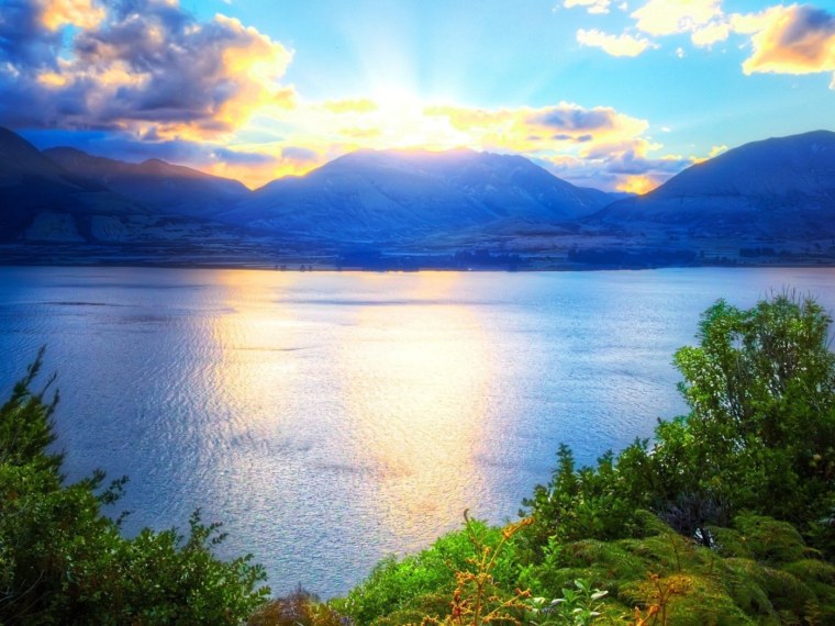 Летняя природа