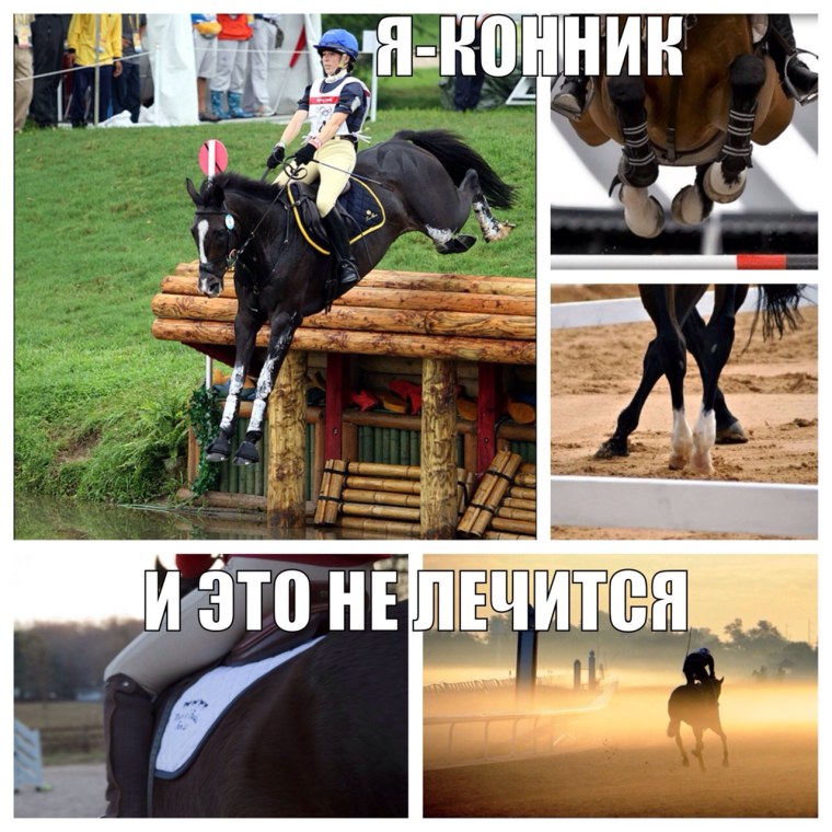 Лошадь с надписью