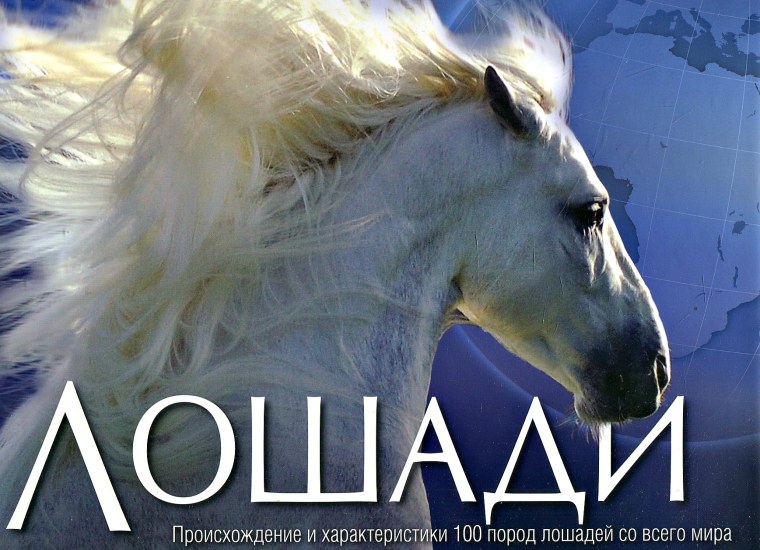 Лошади: энциклопедия