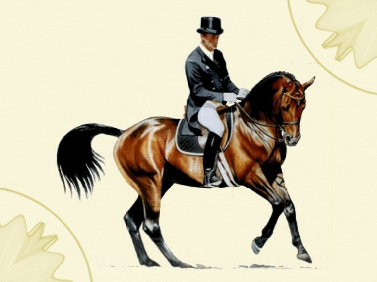 Конный спорт иллюстрации